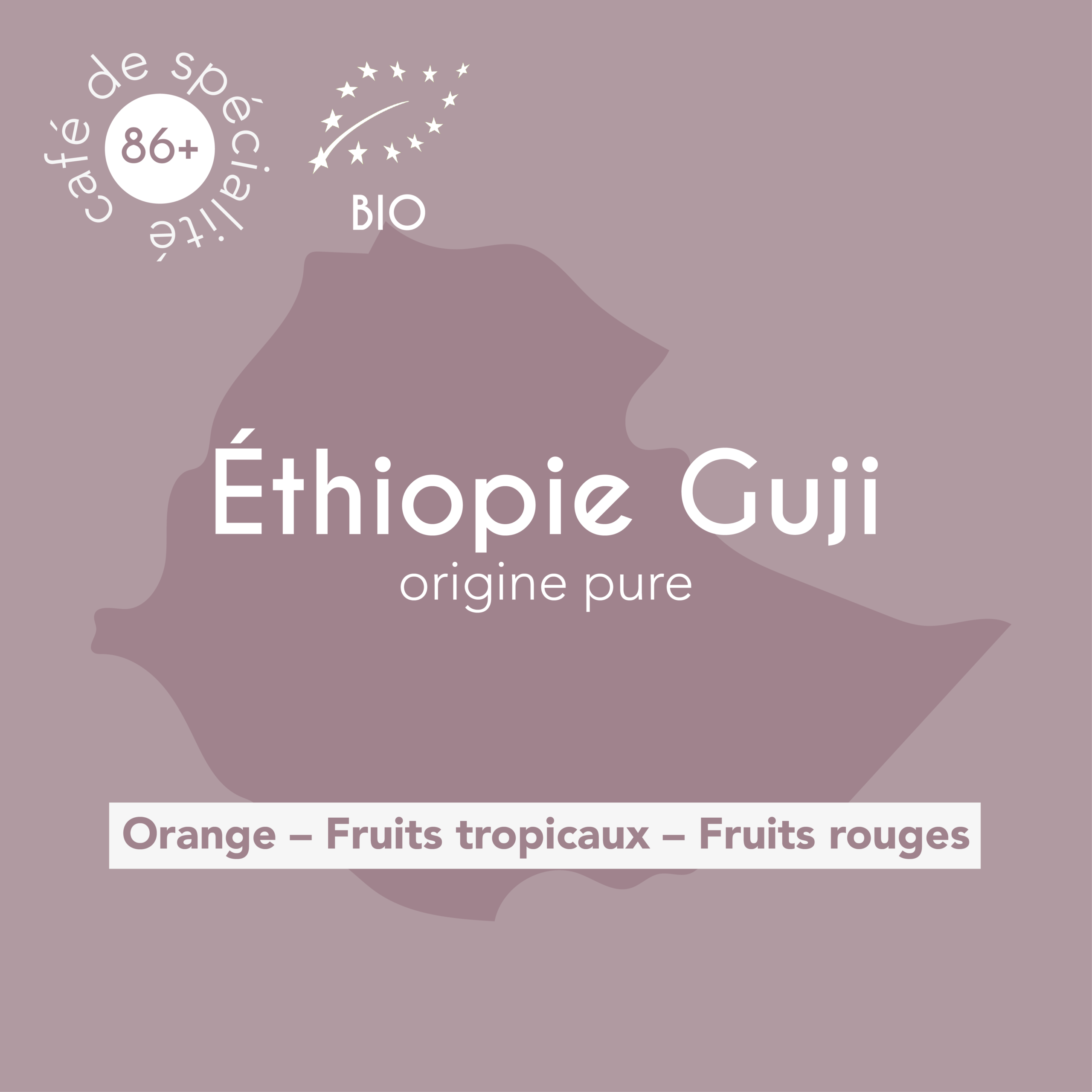 Éthiopie Guji-cafe de spécialité