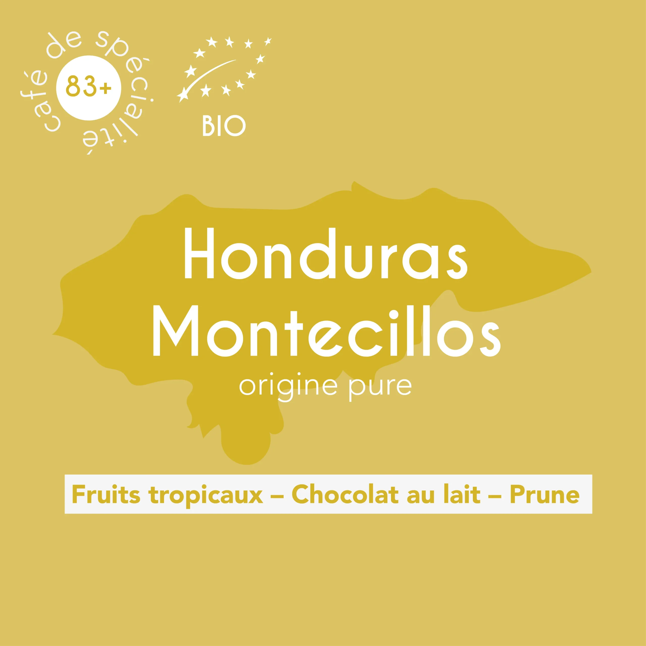 Description des flaveurs du café de spécialité Honduras Montecillos