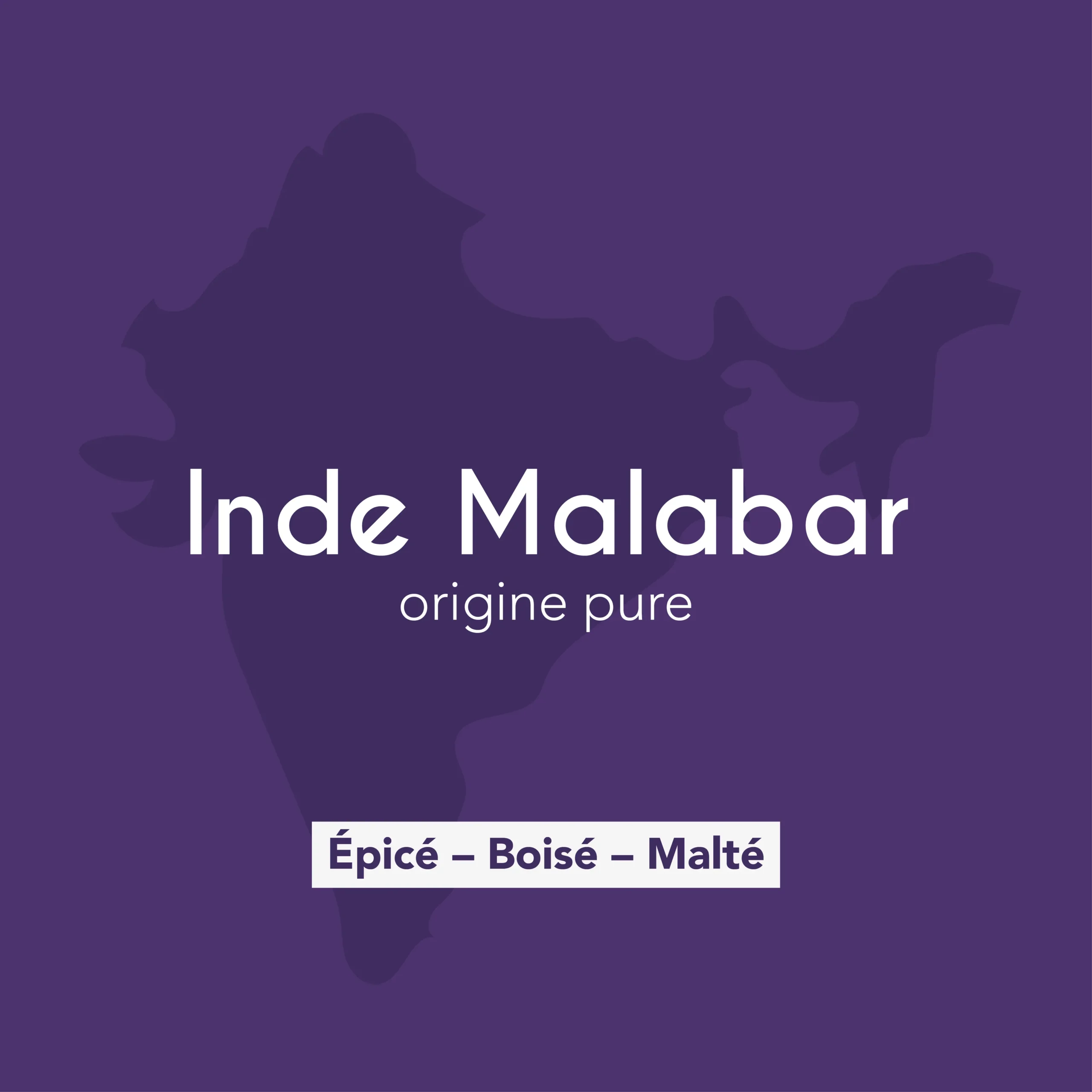 Description des flaveurs du café de torréfacteur Inde Malabar