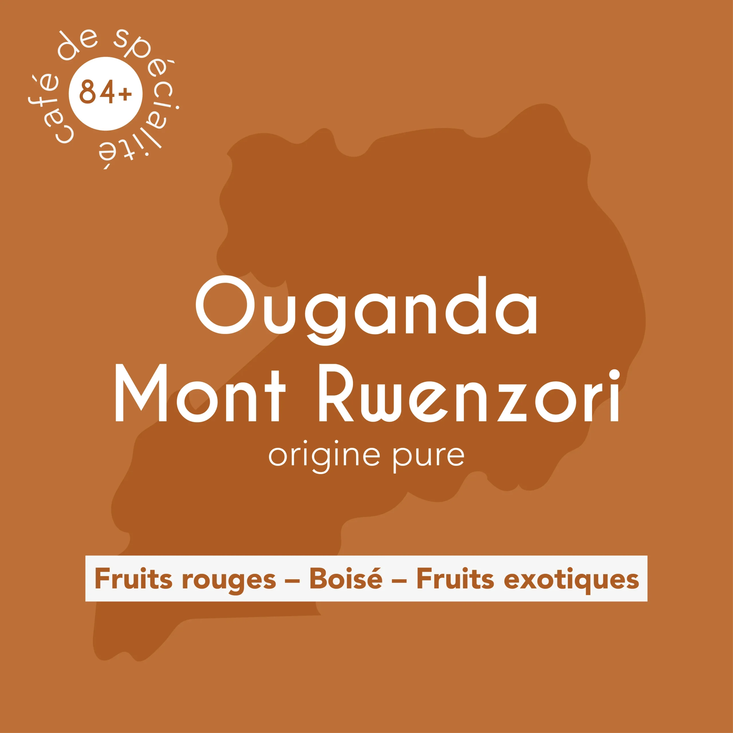 Description des flaveurs du café de spécialité Ouganda-Mont-Rwenzory