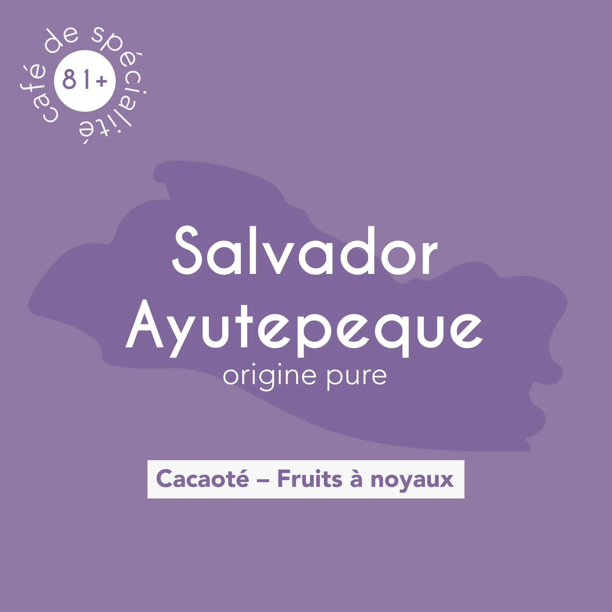 Description des flaveurs du café de spécialité Salvador Ayutepeque