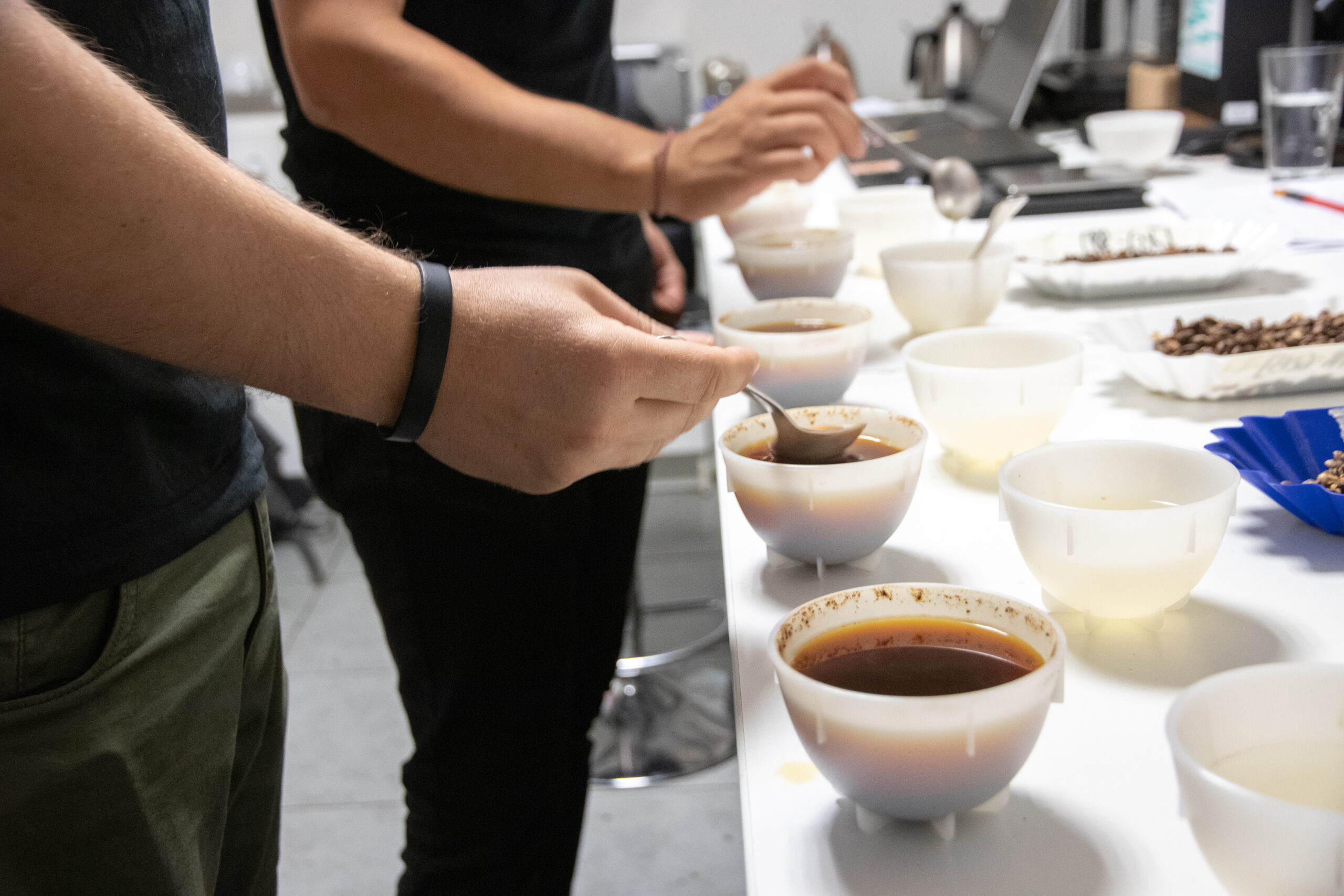 Cupping de cafés par Guillame et Felipe, maîtres torréfacteurs de Cafés Gonéo