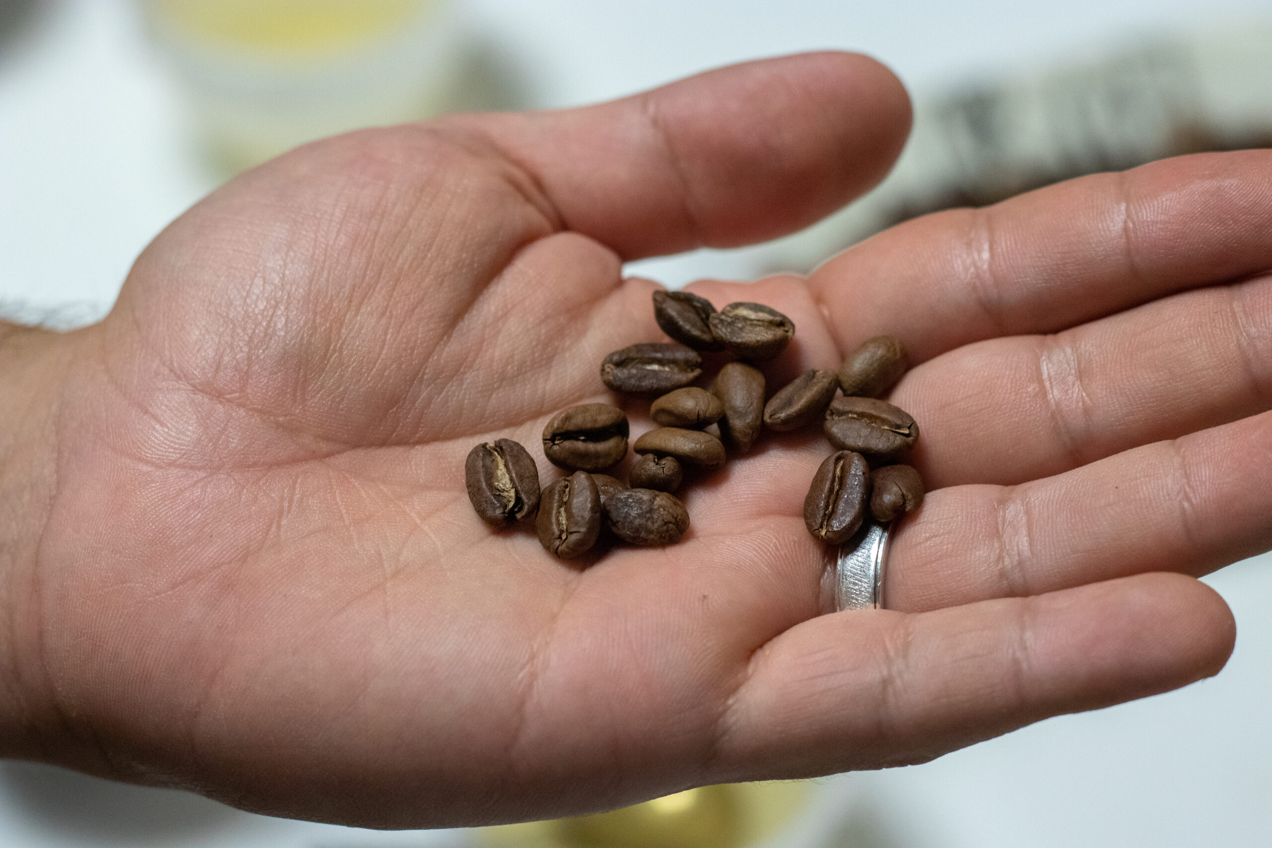 Grains de cafés déposés dans une mains