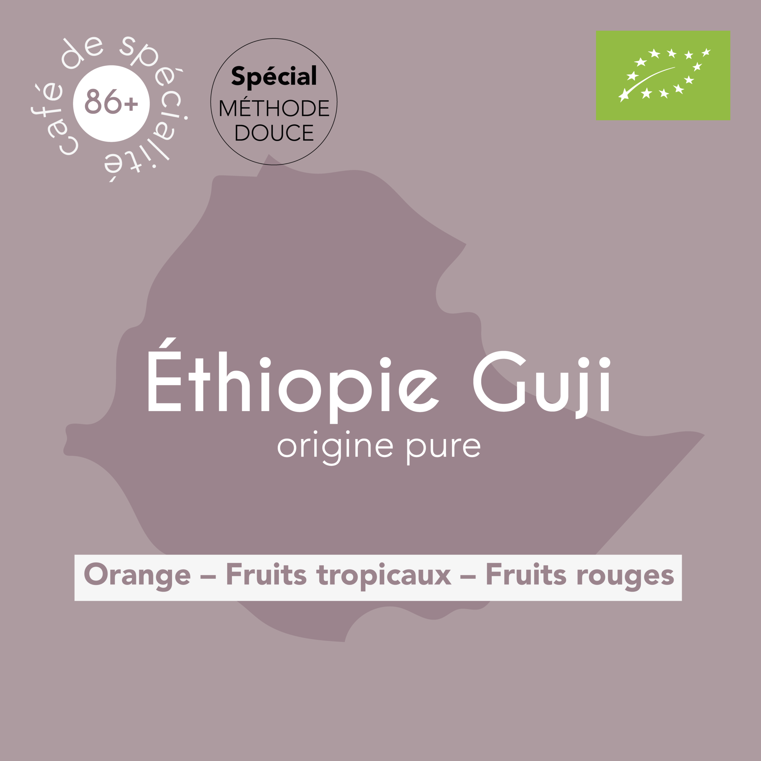 Présentation du café spécial méthode douce, Ethiopie Guji
